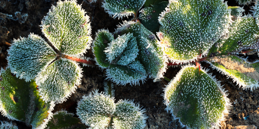 shutterstock 1853362138