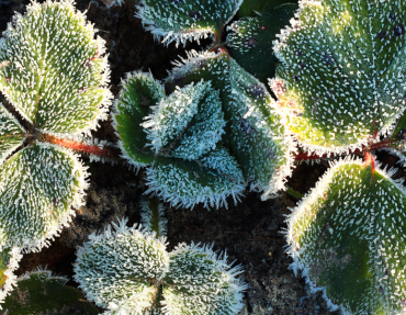 shutterstock 1853362138