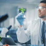 Biotecnología en la agricultura, aliada para enfrentar los retos futuros