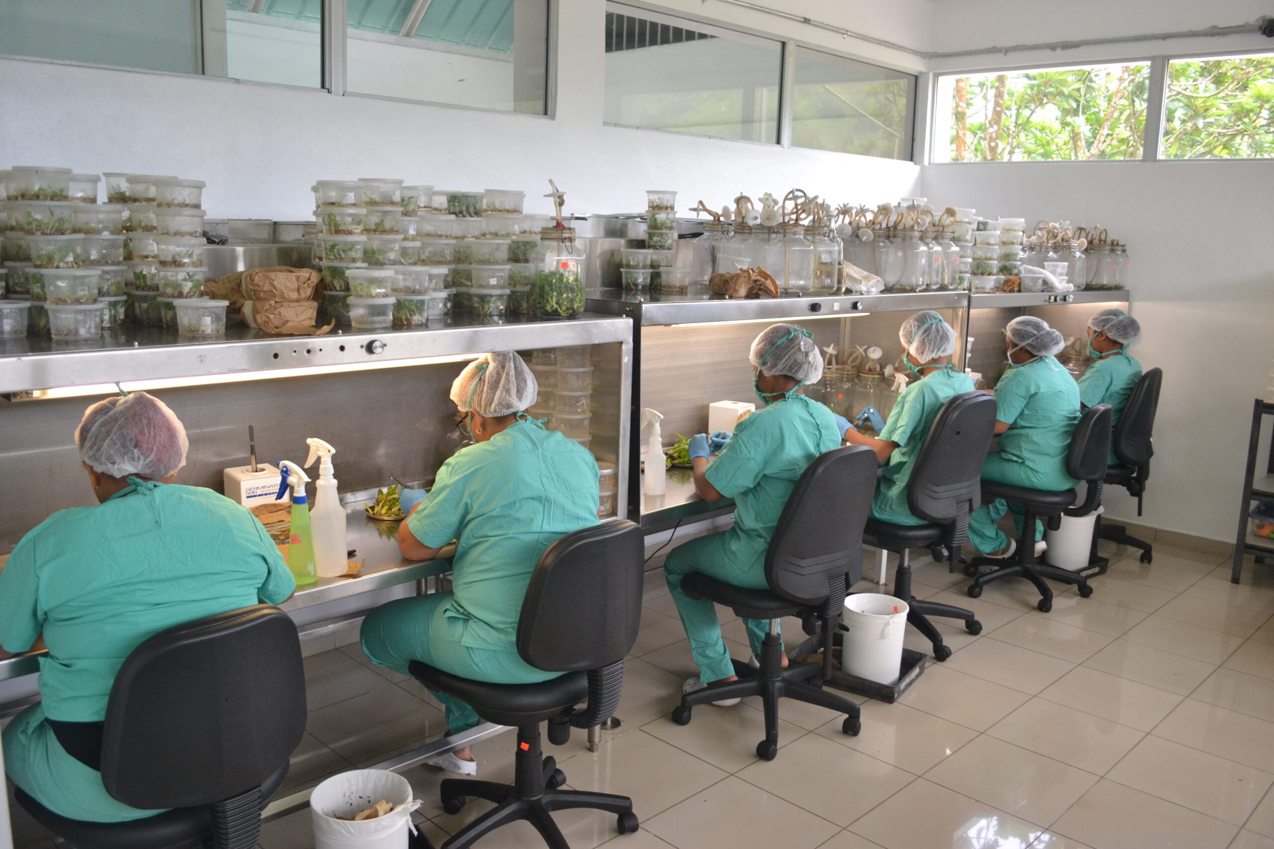 laboratorio 2 scaled