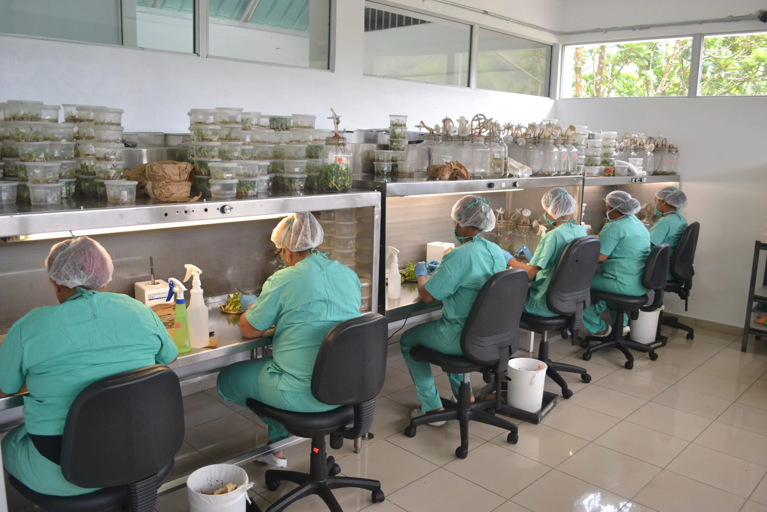 laboratorio 2 scaled